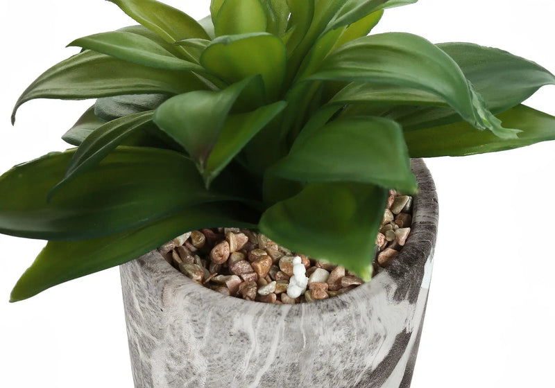 6" Tall Artificial Succulent Plants, Set of 2 by HouseOfZazla