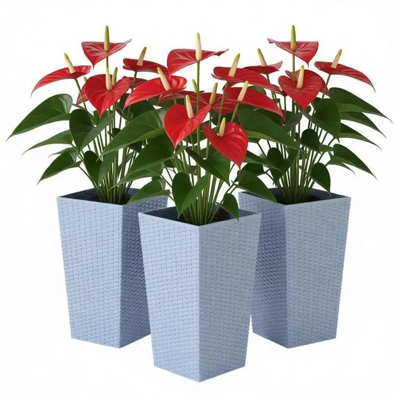 Plants Box Set of 3 Tall Planters by HouseOfZazla