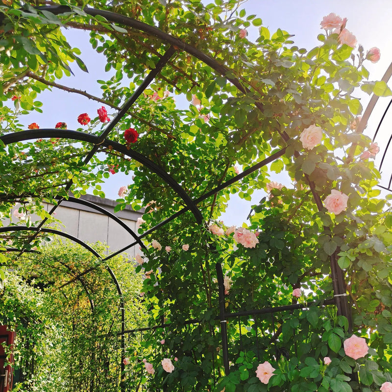 Metal Garden Arch with Two Plant Stands by HouseOfZazla