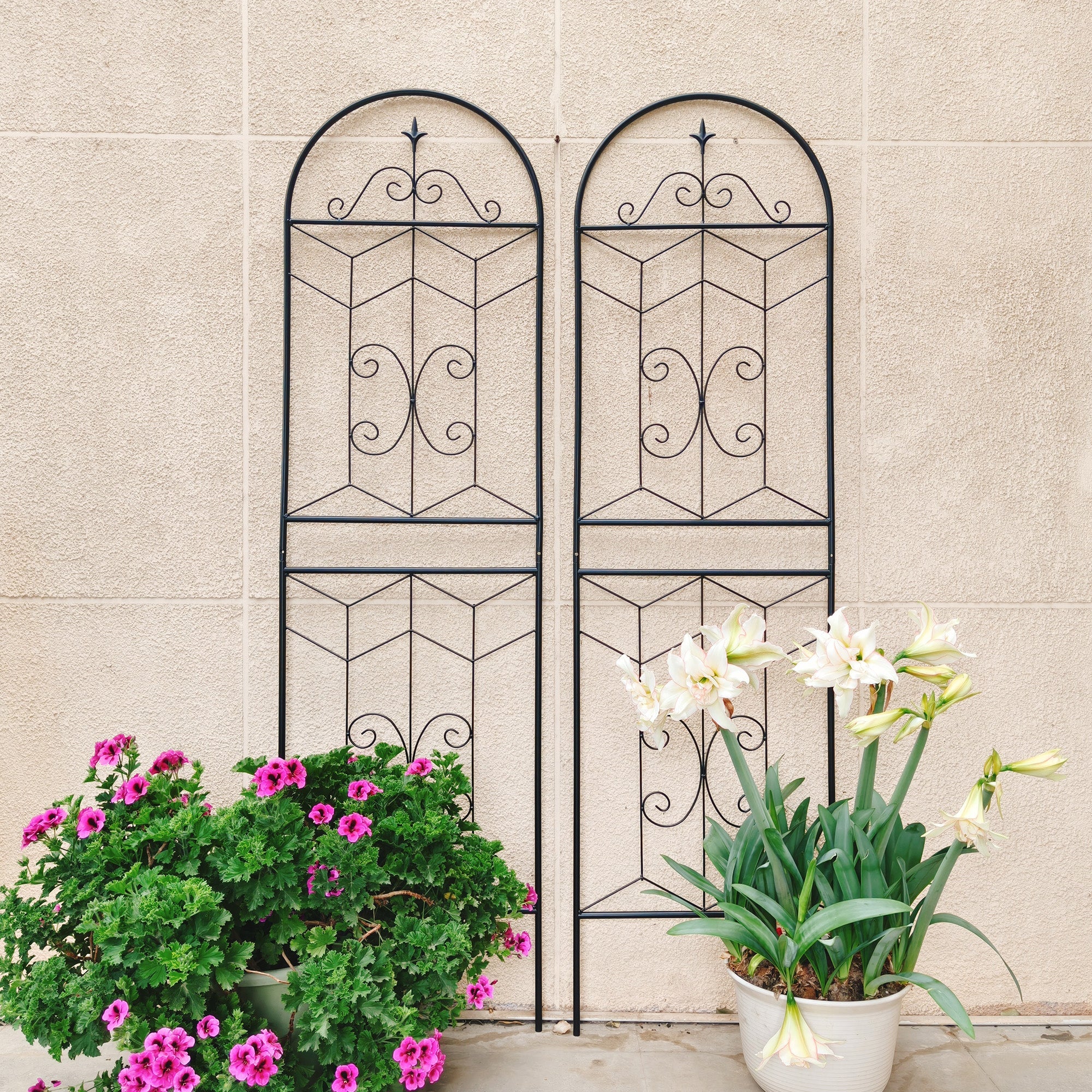 4 Pack Metal Garden Trellis by HouseOfZazla