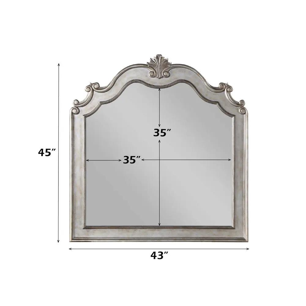 Esteban - Mirror - Antique Champagne by Unique Piece Furniture