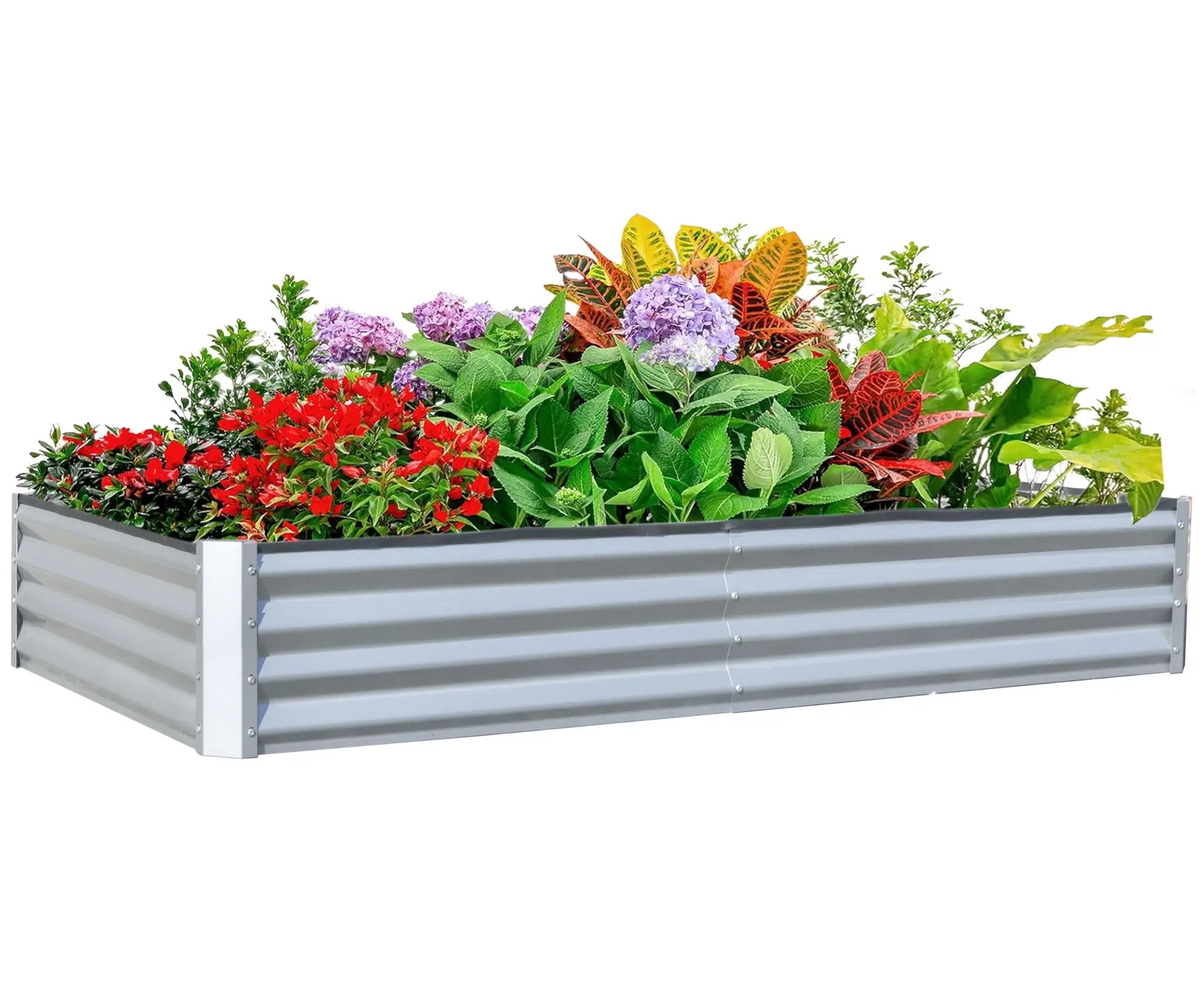 6x3x1ft Galvanized Raised Garden Bed by HouseOfZazla
