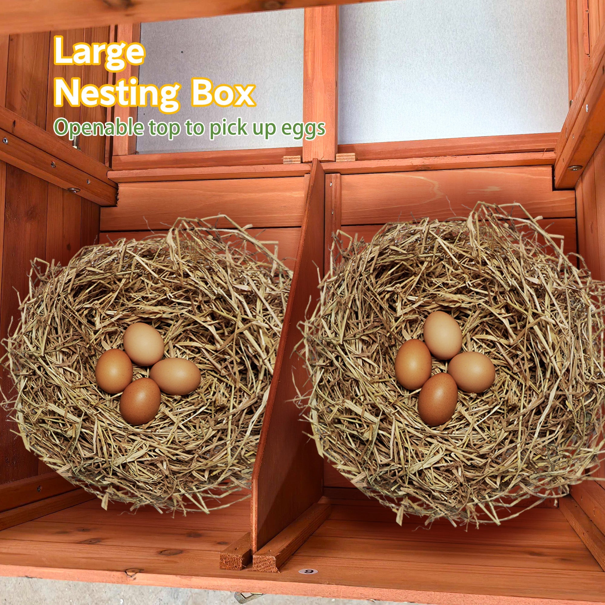 70" Large Wooden Chicken Coop with 2 Nesting Boxes by HouseOfZazla