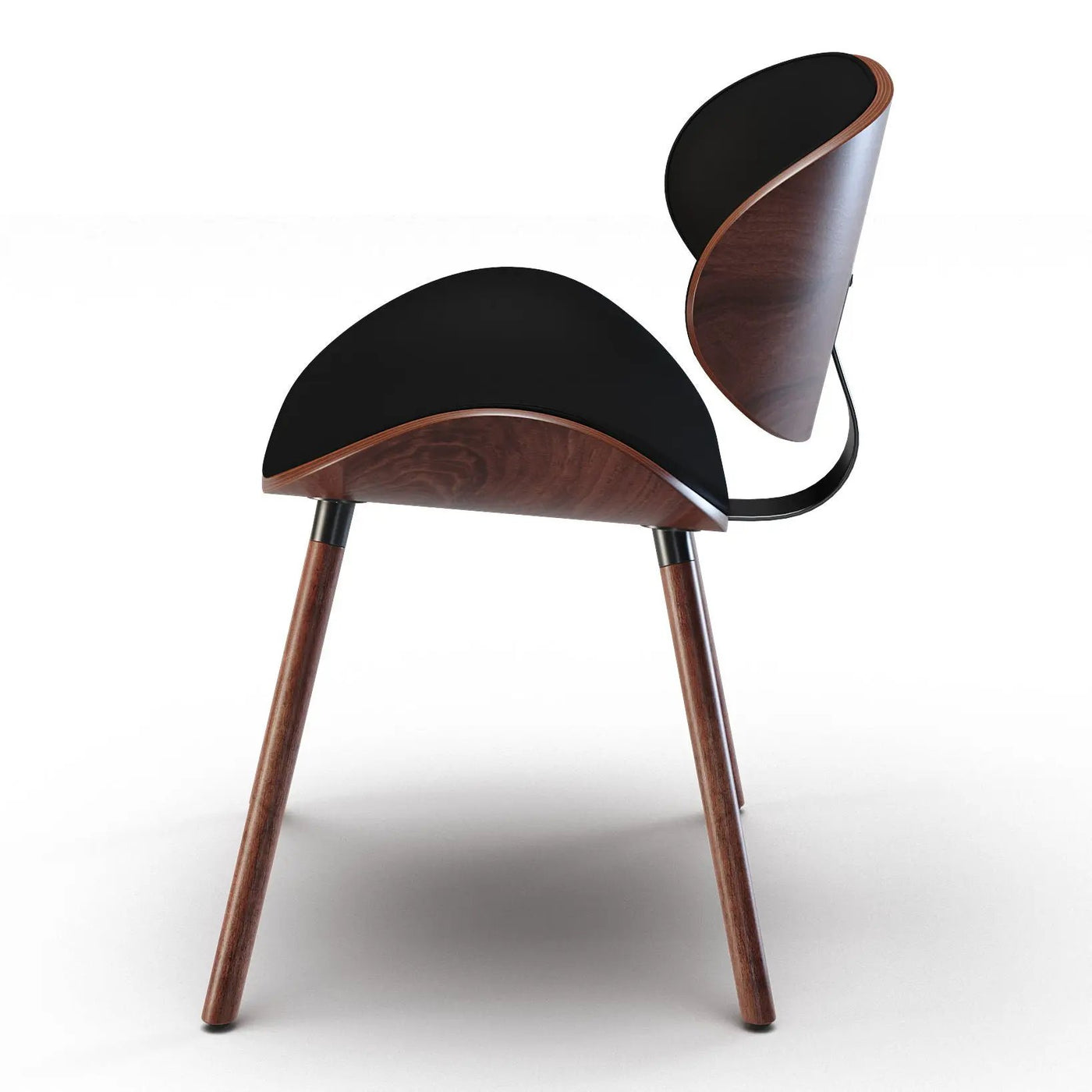 Marana - Mid Century Modern Dining Chair by HouseOfZazla