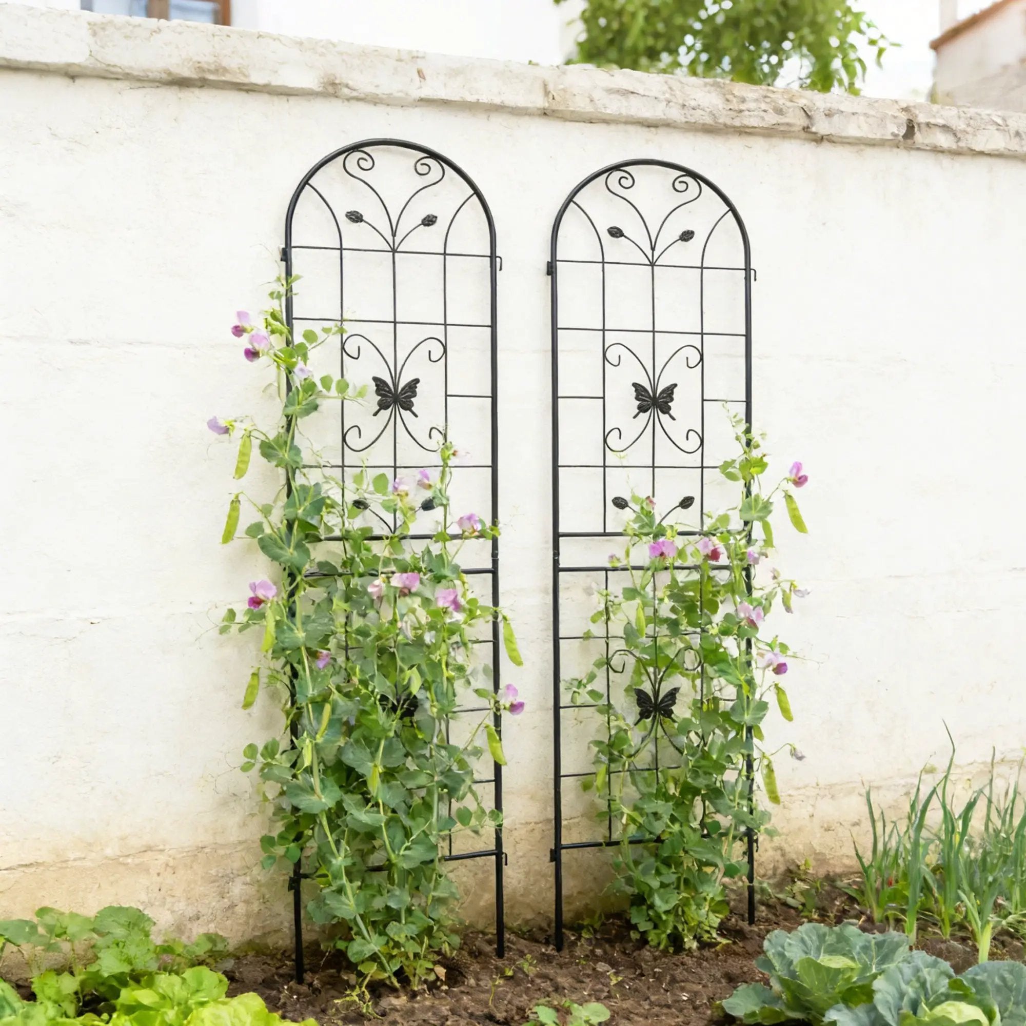 2 Pack Metal Garden Trellis 86.7" x 19.7" by HouseOfZazla