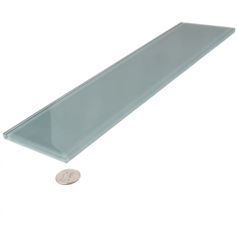 Gray 4x16 Glossy Subway Glass Tile (12 pack, 5.33 sq ft/case) by Apollo Tile