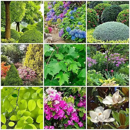 Tree & Shrub Fertilizer Spikes (12 Spikes - 3.0 Lbs) by GreenHaven Gardens
