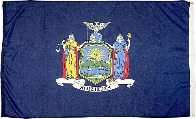 FlagSource New York Nylon State Flag, Made in USA, 8x12' by GreenHaven Gardens