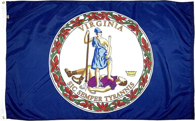 FlagSource Virginia Nylon State Flag, Made in the USA, 3x5' by GreenHaven Gardens