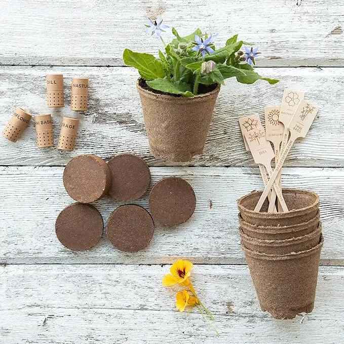 Organic Edible Flower Garden Seed Kit - 23pc Indoor Garden with Soil, Pots, Plant Markers, USDA Organic Non-GMO Seeds & Illustrated Instructions - Sunflower, Borage, Thai Basil, Dill, Nasturtium by GreenHaven Gardens