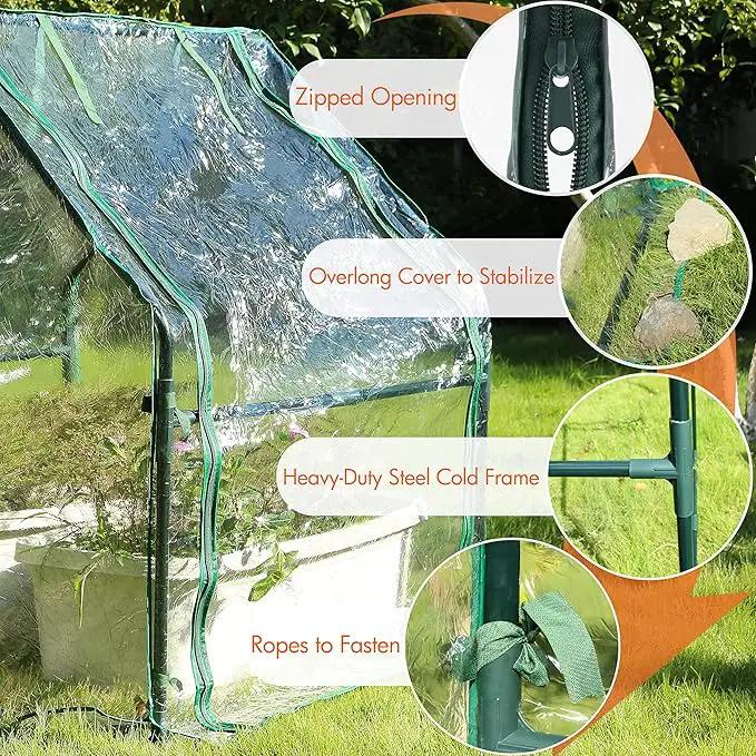 Gardzen Mini Greenhouse Heavy Duty Portable Green House, Clear Tent Small Greenhouse for Indoor Outdoor Plants 36.2”(L) x36.2”(W) x42.5”(H) by GreenHaven Gardens
