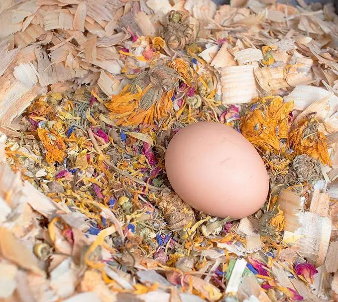 Pampered Chicken Mama Best Eggs Ever! Nesting Herbs for Chickens (1.25 Pounds) Calcium Supplement for Chickens | Chicken Feed Supplies, Hen Treats for Coops by GreenHaven Gardens