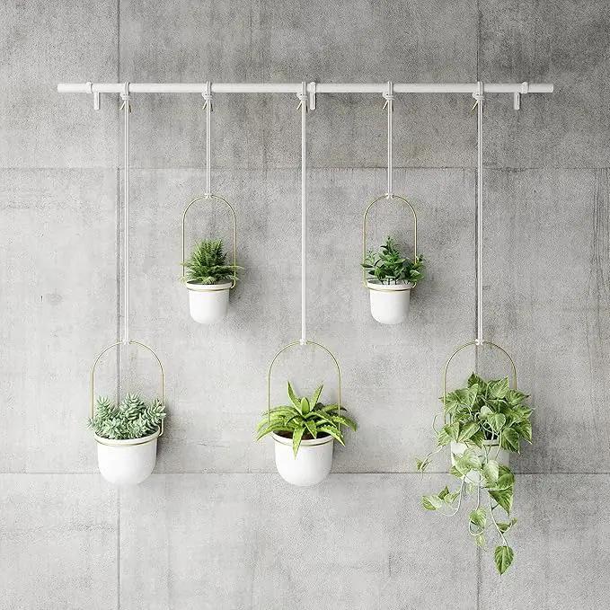 Umbra Triflora Hanging Planter for Window, Indoor Herb Garden, Set of 5, White/Brass by GreenHaven Gardens