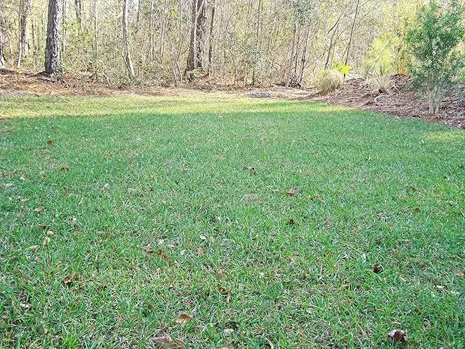 Lawnifi Santee Centipede Grass Seeds for Lawn, 2 lbs Covers 4,000 Sq Ft by GreenHaven Gardens