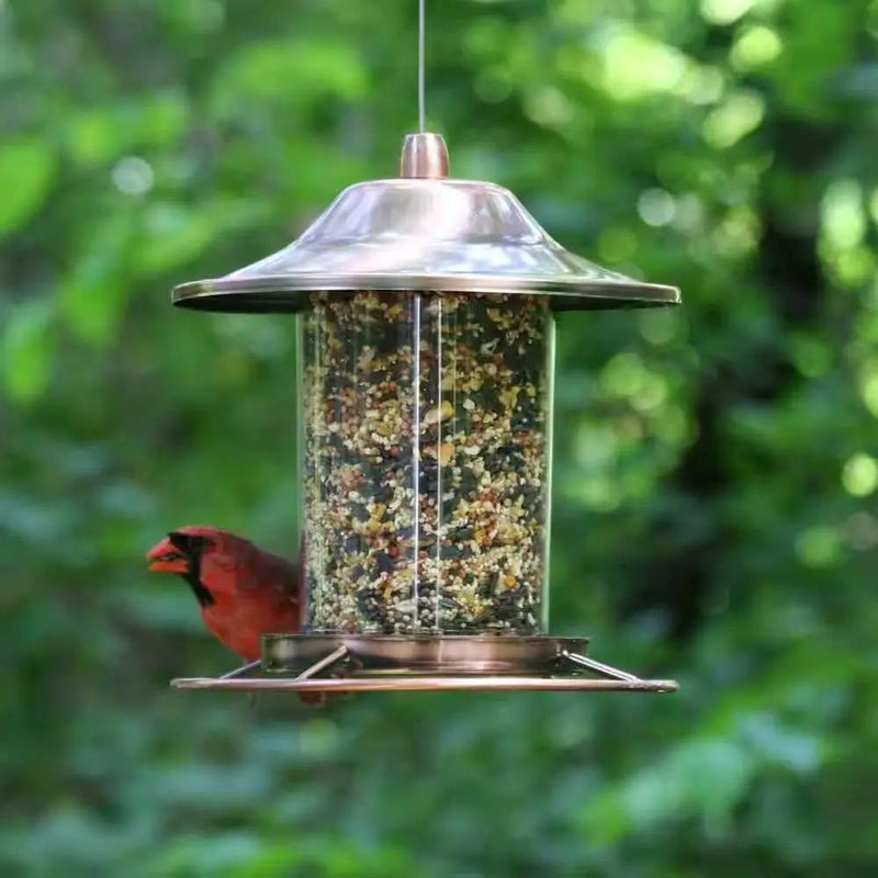 Copper Bird Feeder with Plastic Seed Reservoir Tube and Circular Perch by HomePacific