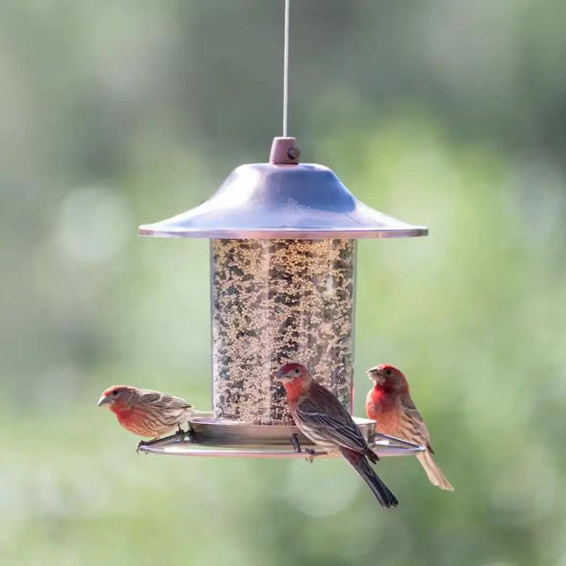 Copper Bird Feeder with Plastic Seed Reservoir Tube and Circular Perch by HomePacific