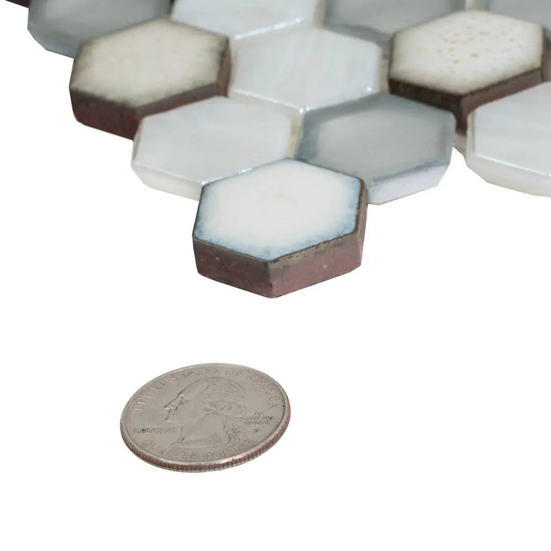 Gray White 11x11 Glossy Matte Hexagon Glass Ceramic Mosaic Tile (10 pack, 8.63 sq ft/case) by Apollo Tile