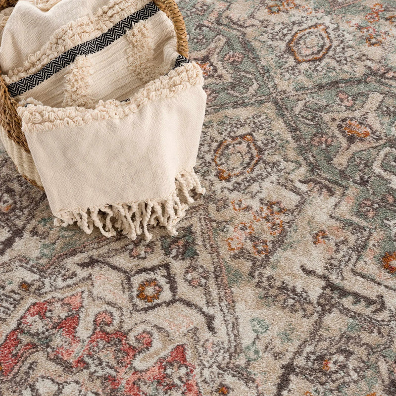 Bolinas Area Rug by Hauteloom