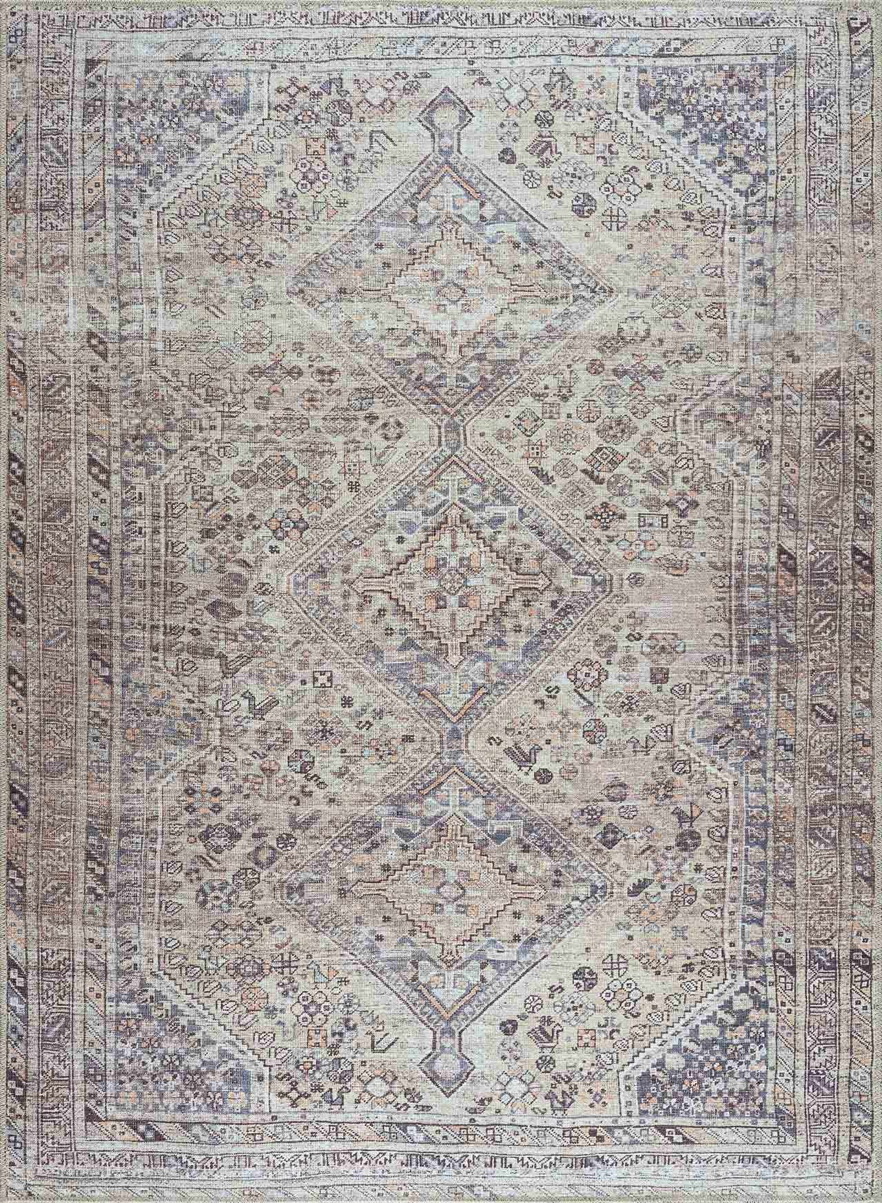 Barny Tan Washable Area Rug by Boutique Rugs