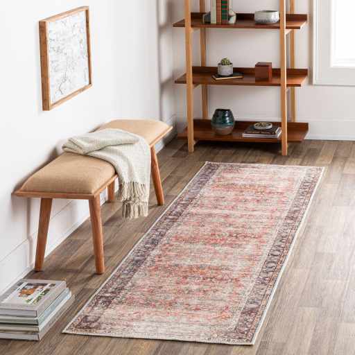 Rust Anahawan Distressed Washable Area Rug - Clearance by Boutique Rugs