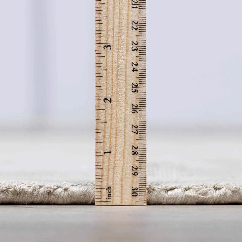 Auchter Soli Taupe Premium Sheer Carpet by Boutique Rugs