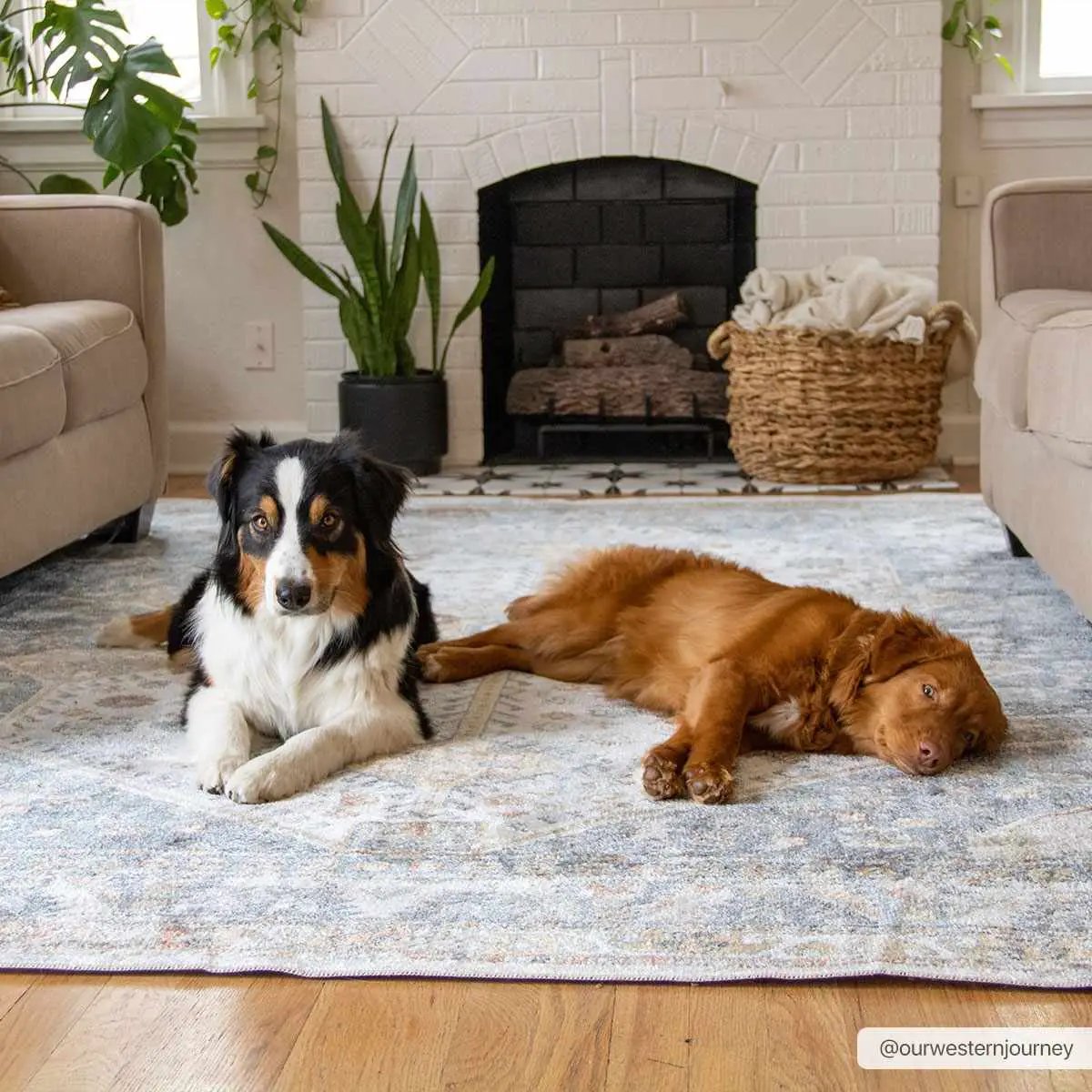 Afya Washable Area Rug by Hauteloom