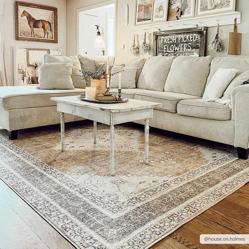 Albas Washable Area Rug by Boutique Rugs