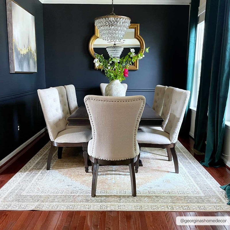 Albas Washable Area Rug by Boutique Rugs