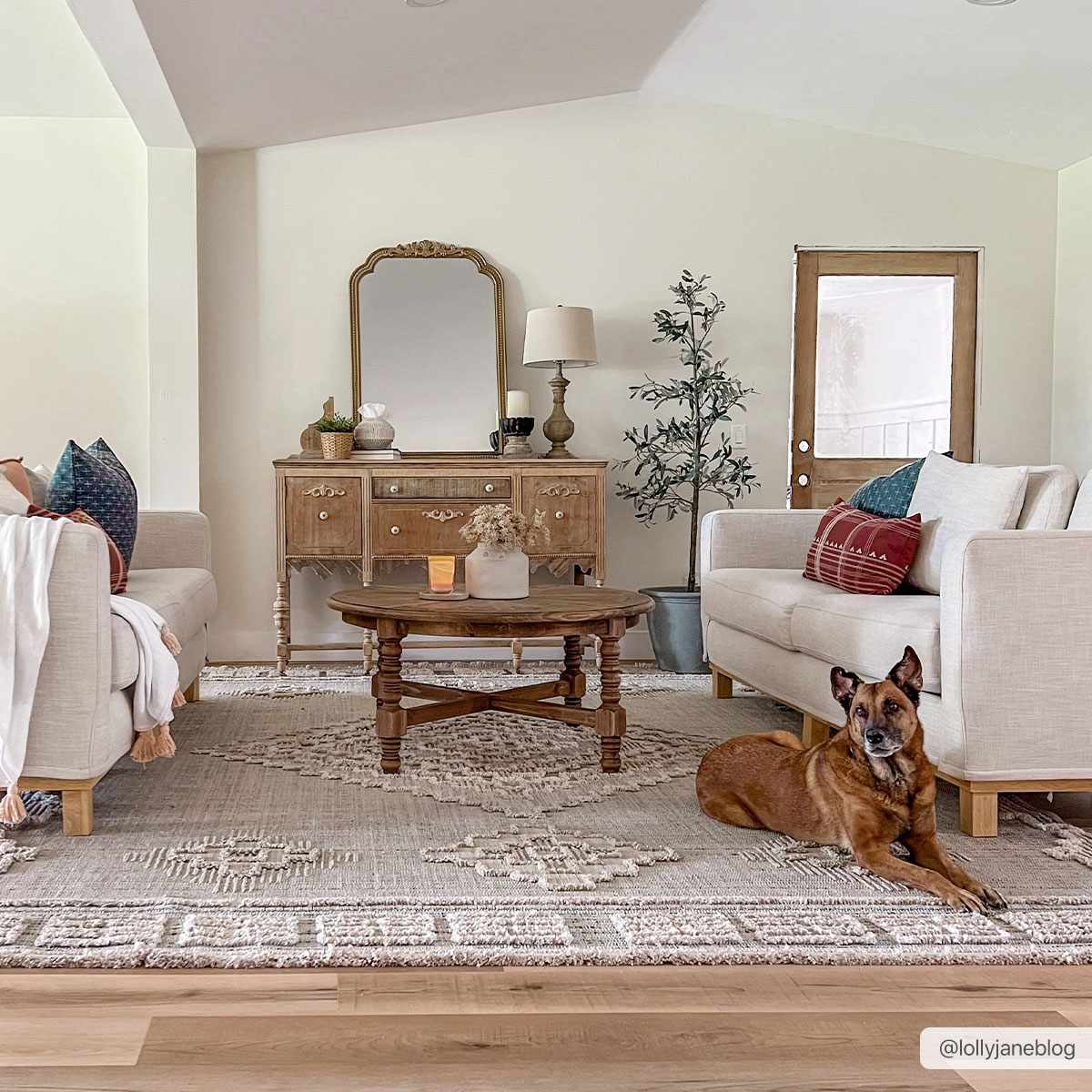 Ampusungan Area Rug by Boutique Rugs