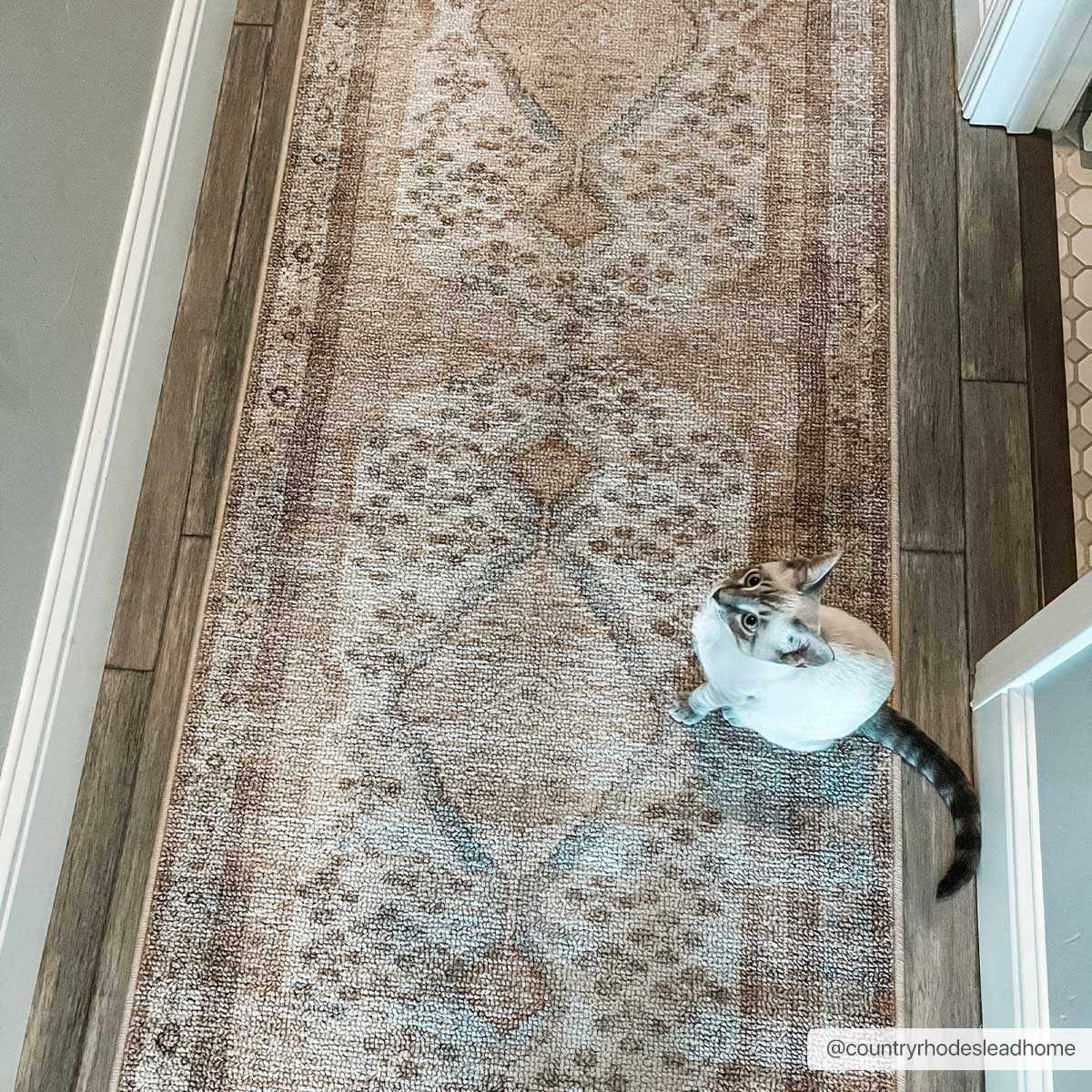 Analu Non-Slip Washable Rug by Boutique Rugs