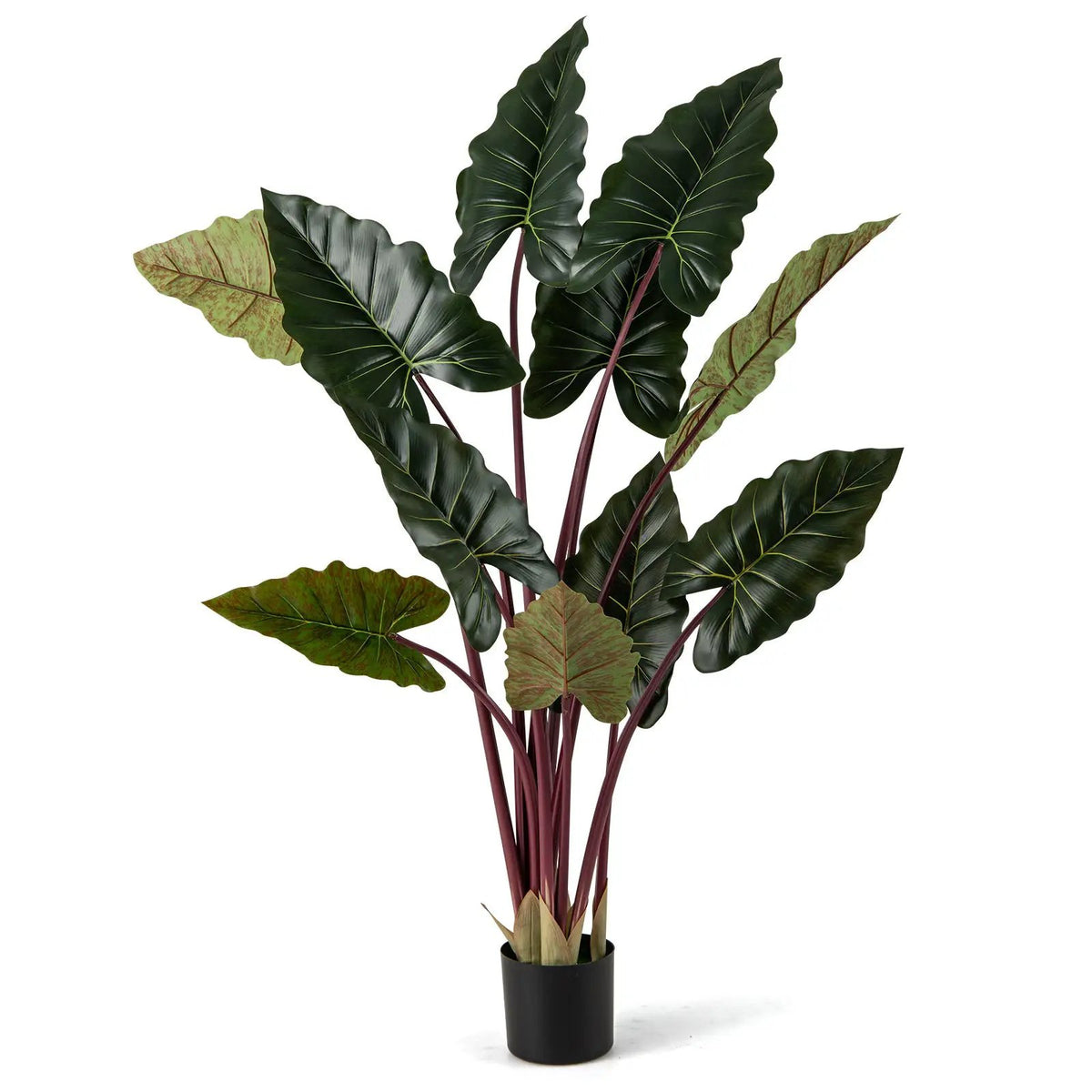 Artificial Rainbow Taro Tree 63" Tall with 11 Faux Leaves by DirectDeals