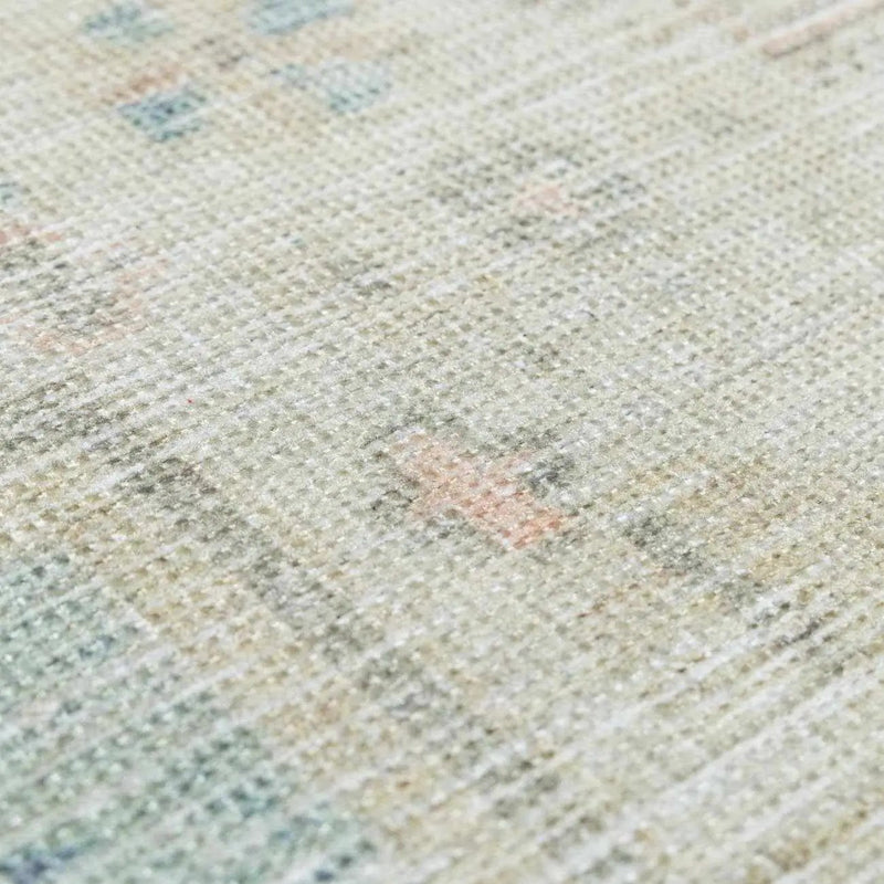 Baloy Vintage Washable Rug by Boutique Rugs
