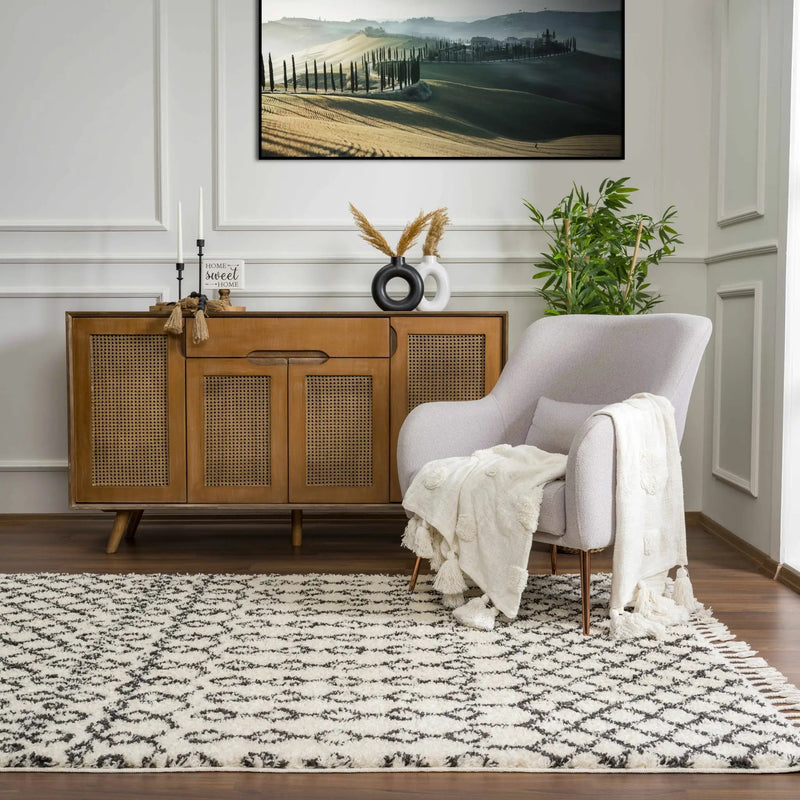 Muni Berber Shag Rug - Clearance by Boutique Rugs