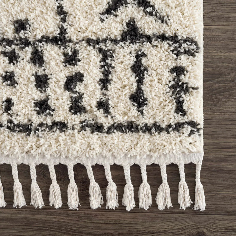 Hauppauge Berber Shag Carpet - Clearance by Boutique Rugs