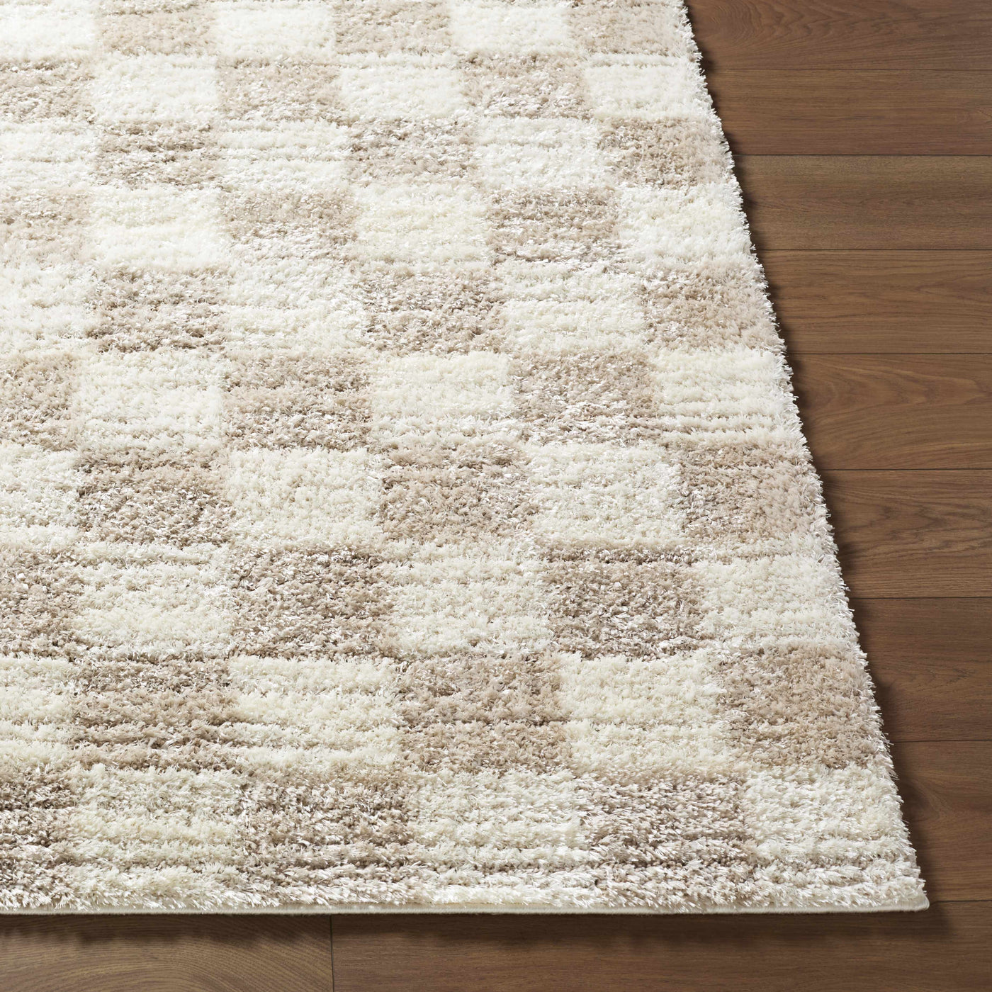 Belita Beige Luxe Shag Area Rug by Boutique Rugs