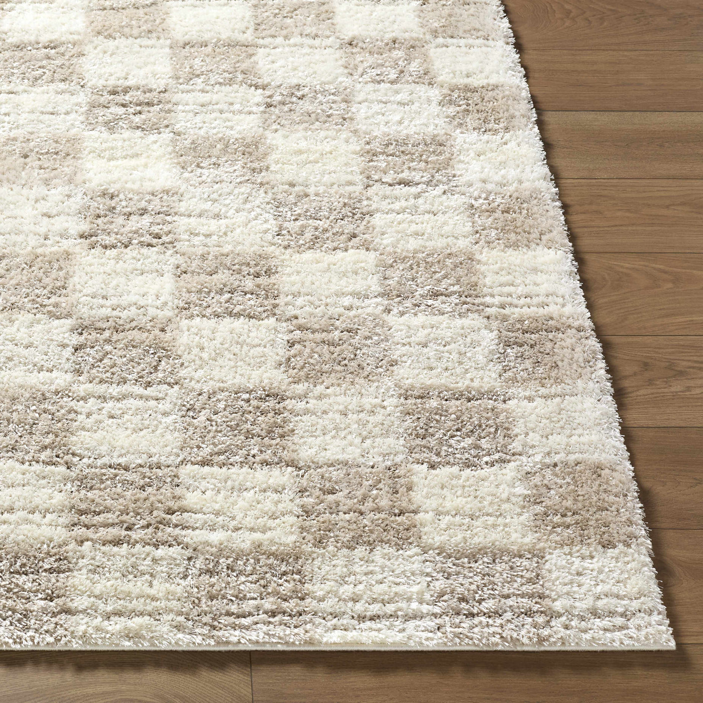 Belita Beige Luxe Shag Area Rug by Boutique Rugs