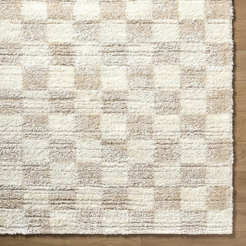Belita Beige Luxe Shag Area Rug by Boutique Rugs
