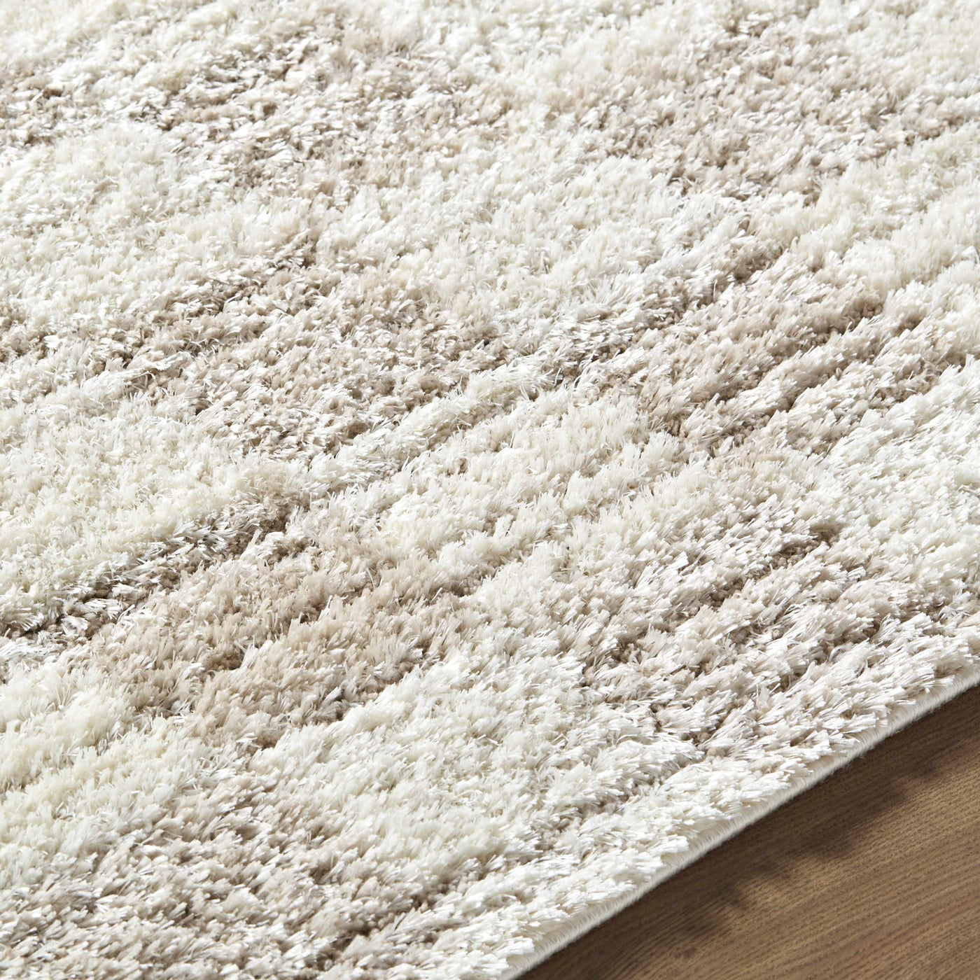 Belita Beige Luxe Shag Area Rug by Boutique Rugs