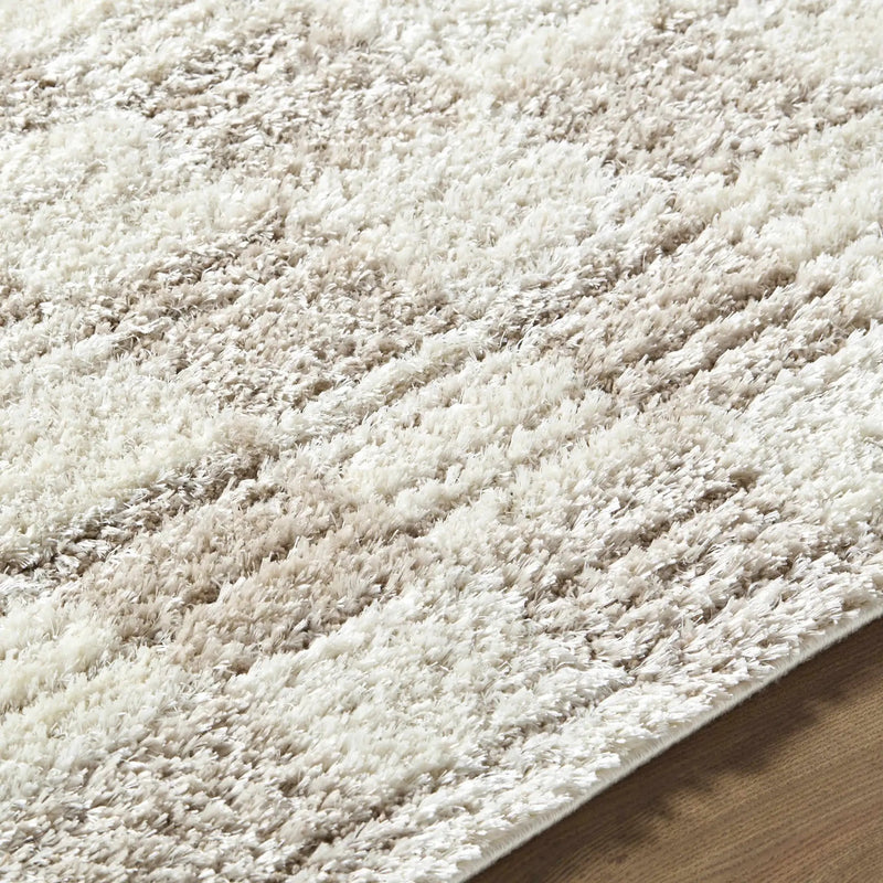 Belita Beige Luxe Shag Area Rug by Boutique Rugs