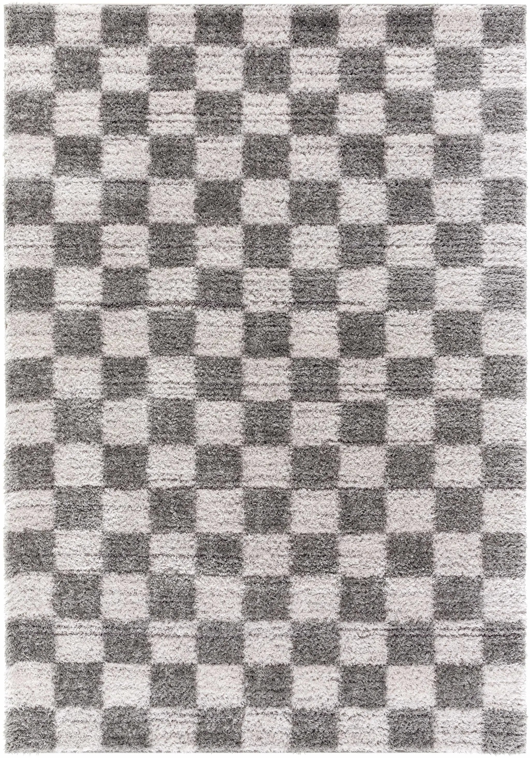Belita Charcoal Luxe Shag Area Rug by Boutique Rugs