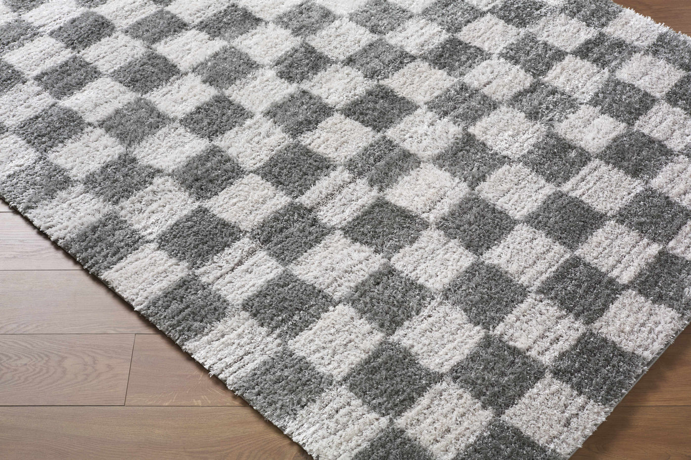 Belita Charcoal Luxe Shag Area Rug by Boutique Rugs