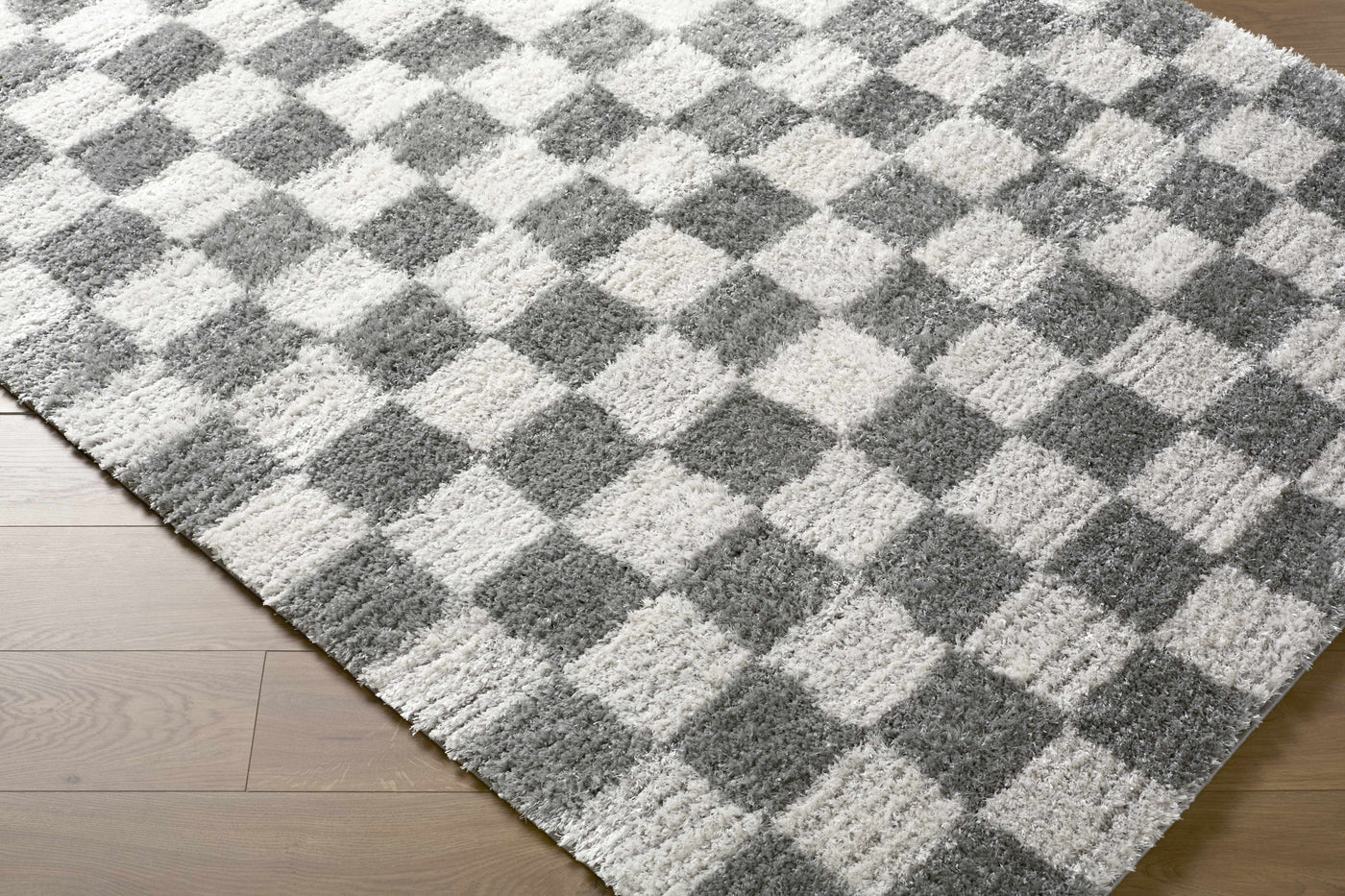 Belita Charcoal Luxe Shag Area Rug by Boutique Rugs