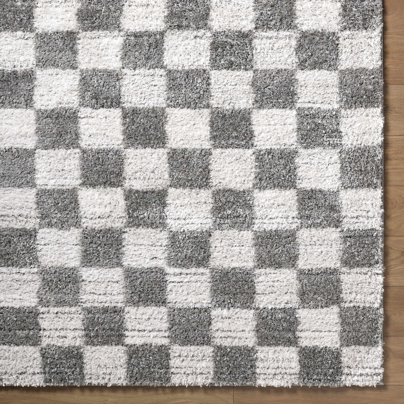 Belita Charcoal Luxe Shag Area Rug by Boutique Rugs