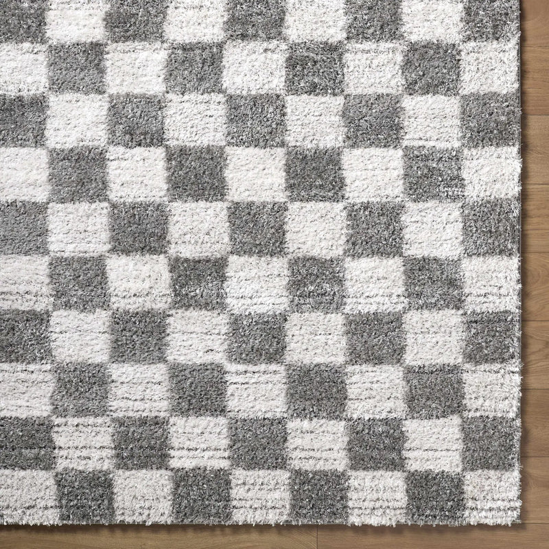 Belita Charcoal Luxe Shag Area Rug by Boutique Rugs