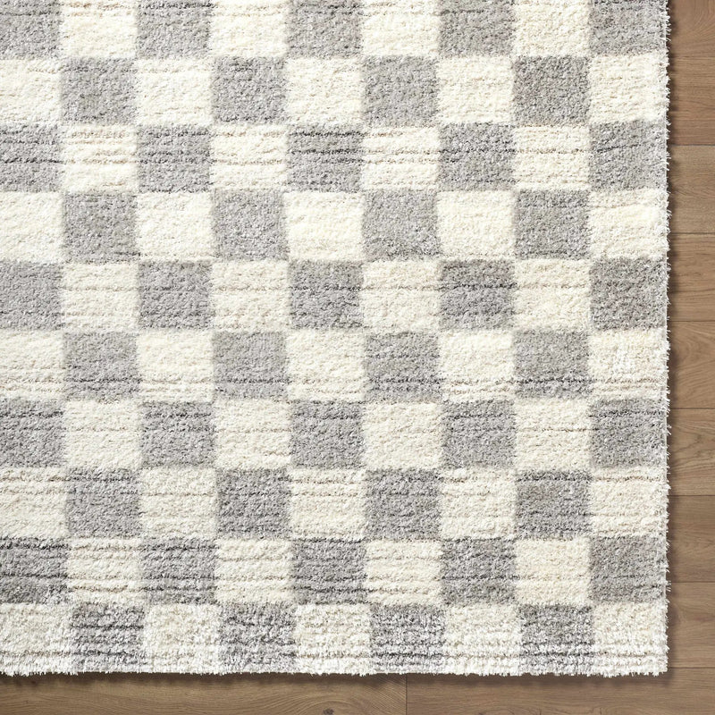 Belita Tan Luxe Shag Area Rug by Boutique Rugs