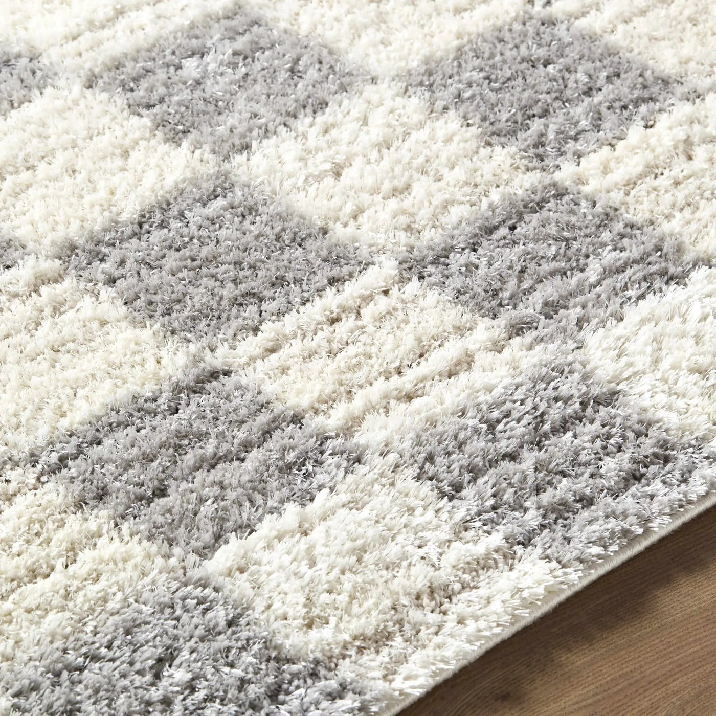 Belita Tan Luxe Shag Area Rug by Boutique Rugs