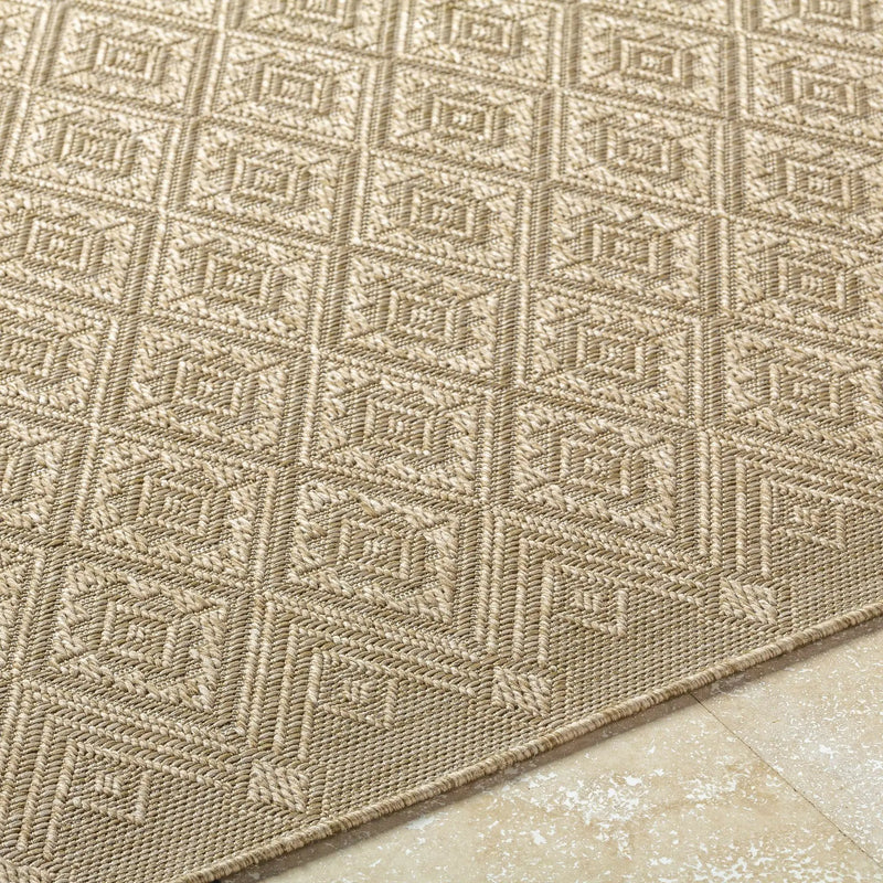 Bandit Brown Outdoor Area Rug by Boutique Rugs