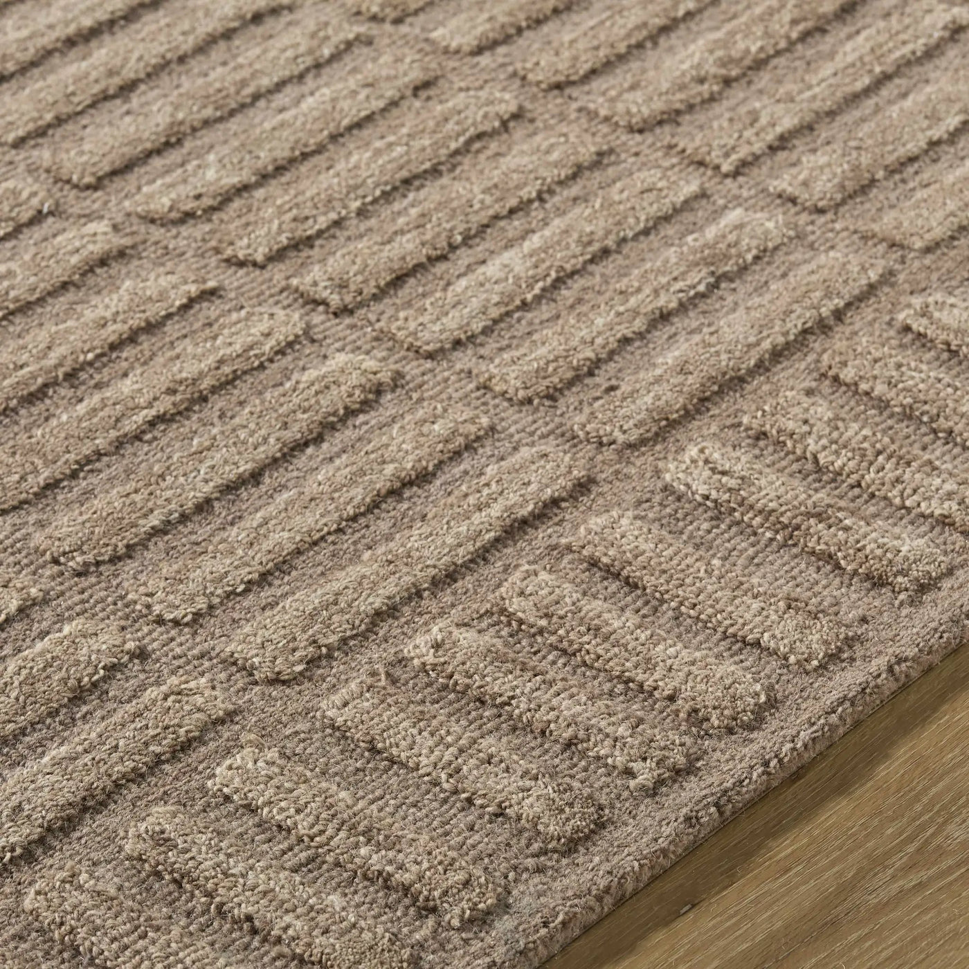 Birger Beige Area Rug by Boutique Rugs