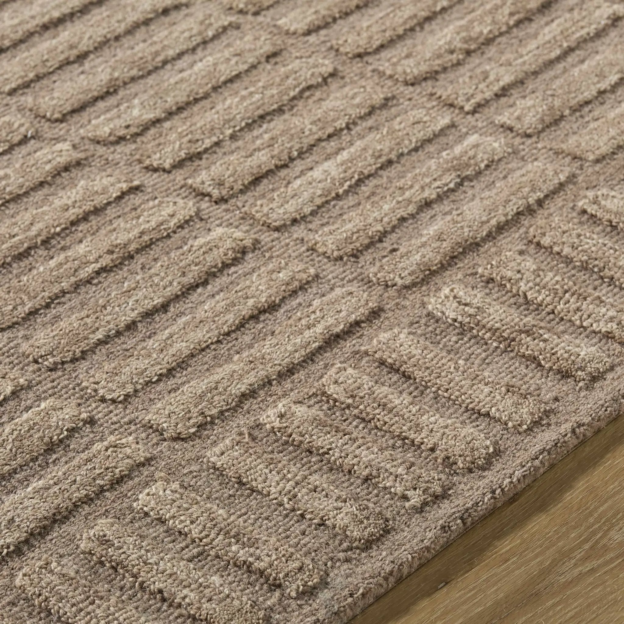 Birger Beige Area Rug by Boutique Rugs