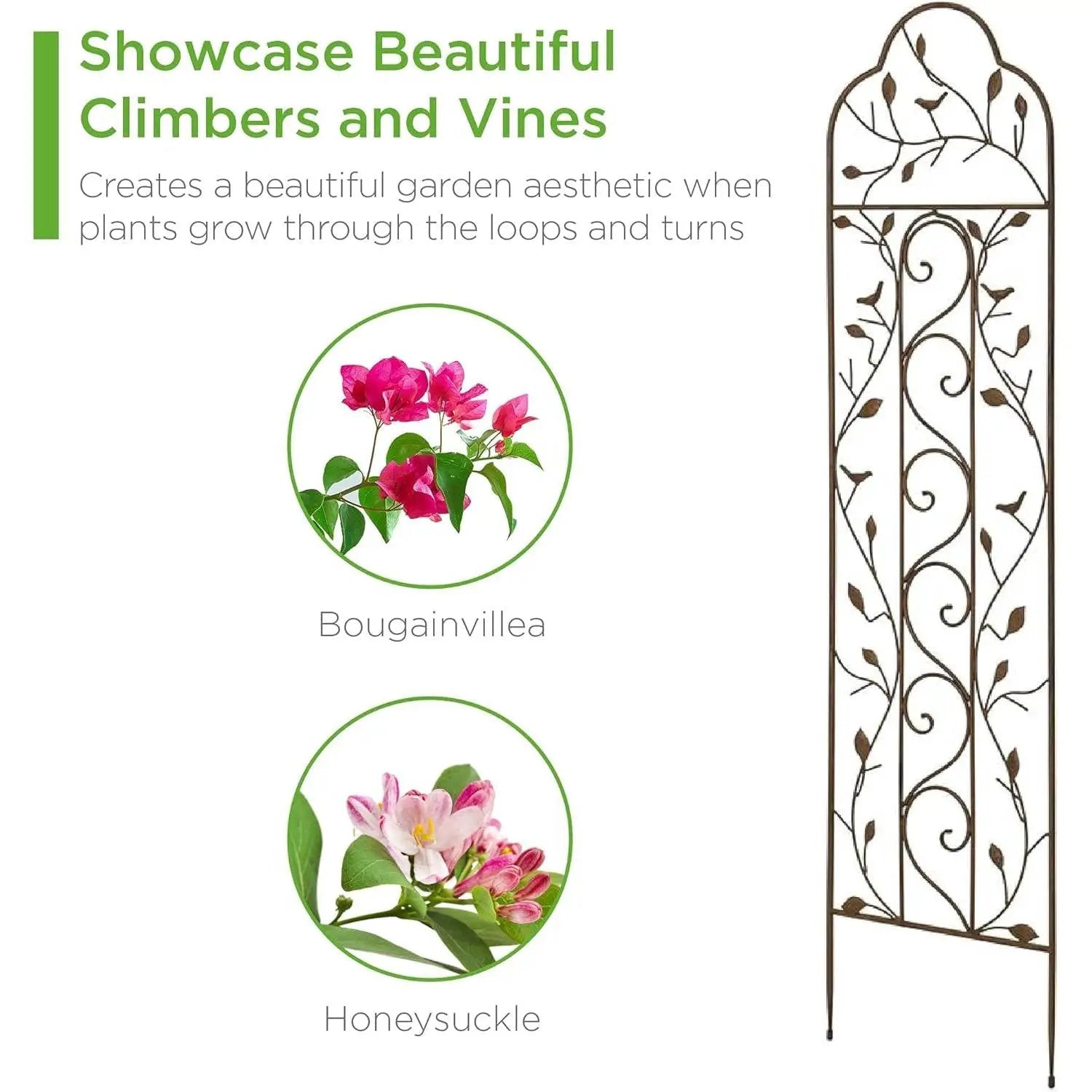 60-inch Tall Outdoor Iron Garden Trellis in Bronze Metal Finish by HomePacific